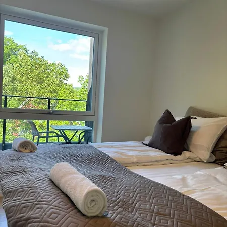 Apartman & Mountain Views - Luxury Penthouse - Free Parking Voss