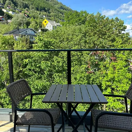 & Mountain Views - Luxury Penthouse - Free Parking Voss